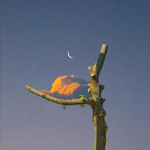 亚洲精品自在线拍
