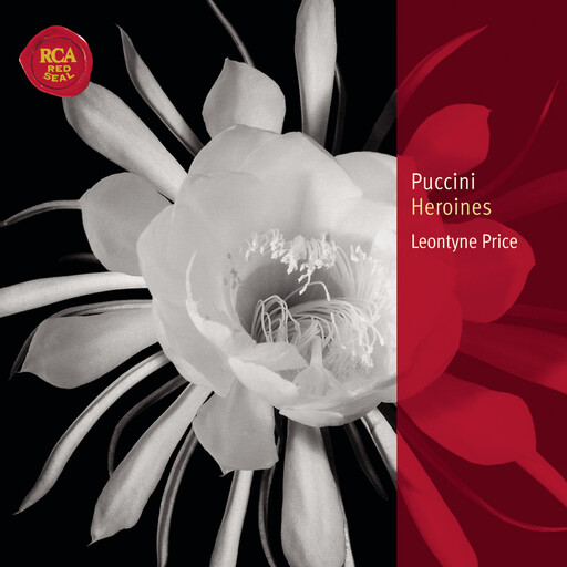 亚洲精品自在线拍
